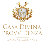 https://www.tuttigiuincantina.com/wp-content/uploads/2022/06/divina-provvidenza.png